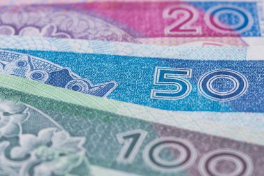 Polonya Zlotisi banknotlar
