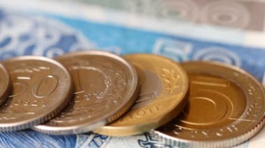 Polonya zloti paraları ve banknotları