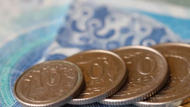 Verschiedene Münzen Des Polnischen Zloty Mit Schieberegler — Stockvideo