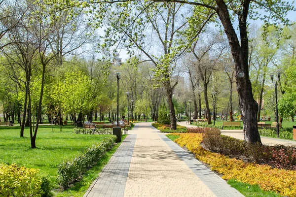 Kiev Ucrânia Abril 2019 Natalka Park Primavera Distrito Obolon Kiev Fotos De Bancos De Imagens