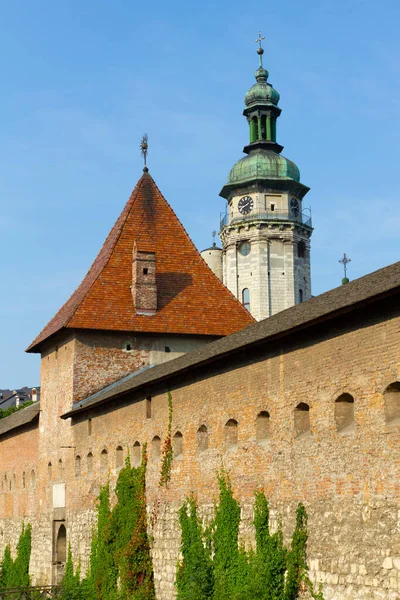 Hlyniany Gate Van Het Bernardine Klooster Lviv Oekraïne — Stockfoto