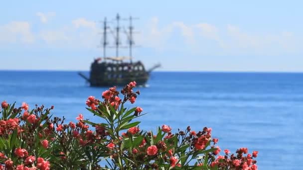 Vieja Fragata Pirata Flores Oleand Antalya — Vídeo de stock
