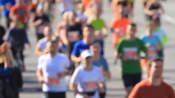 Tłum Amatorów Sportowców Biegnie Pół Maratonu — Wideo stockowe