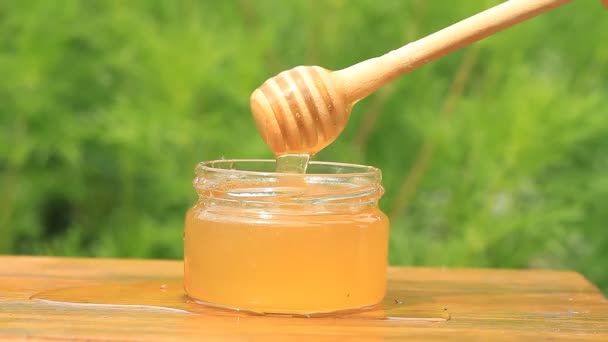Jar Honey Stick Wooden Table — Stock Video