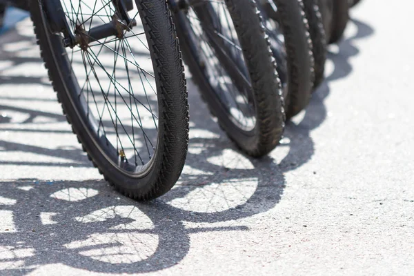 Rodas Bicicleta Sombra Sol Estacionamento Bicicleta — Fotografia de Stock