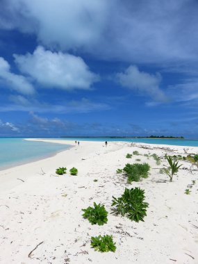 deniz gökyüzü yaz arka plan