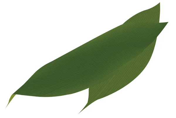 笹の葉葉葉のアイコン — ストックベクタ