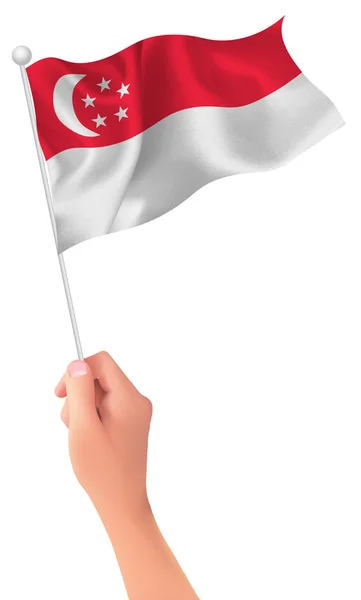 Σιγκαπούρη εικονίδιο χεριού σημαία — Διανυσματικό Αρχείο