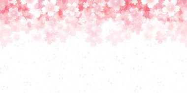 Kiraz bahar çiçek arka plan