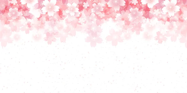 Cherry voorjaar bloem achtergrond — Stockvector