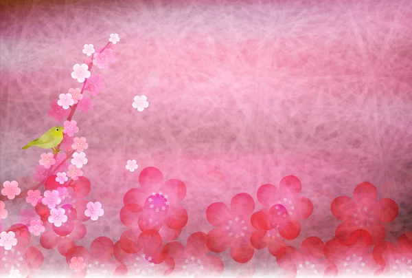 Plum våren blomma bakgrund — Stock vektor