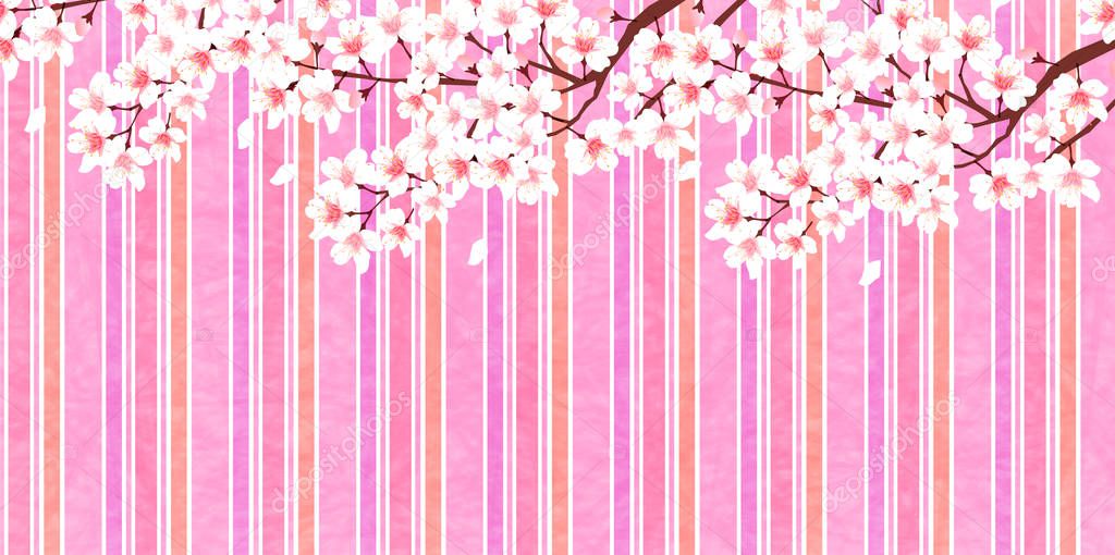 Cherry spring flower background