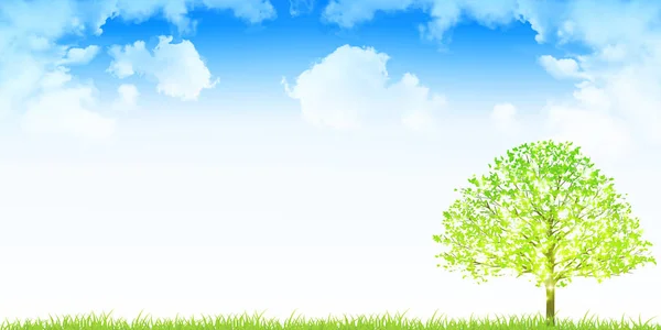 新绿树天空背景 — 图库矢量图片