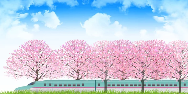 Kiraz Shinkansen bahar arka plan — Stok Vektör
