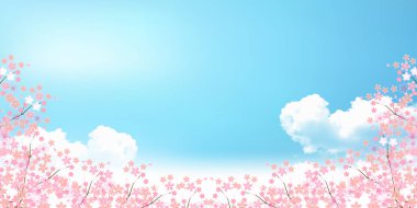 Kiraz bahar çiçek arka plan