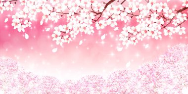 Kiraz bahar çiçek arka plan