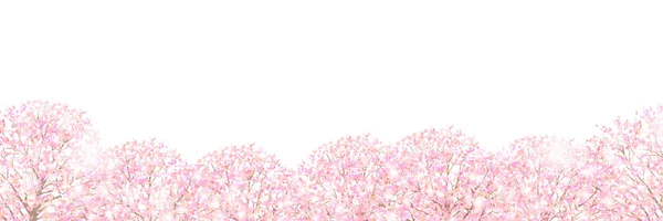 桜春の花背景 — ストックベクタ