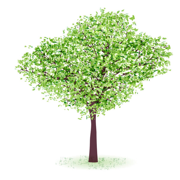 Fresh green tree leaf icon