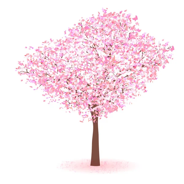 Kirsche Frühling Blume Symbol — Stockvektor