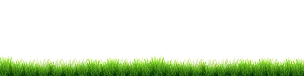Nowy zielony trawa trawnik tło — Wektor stockowy
