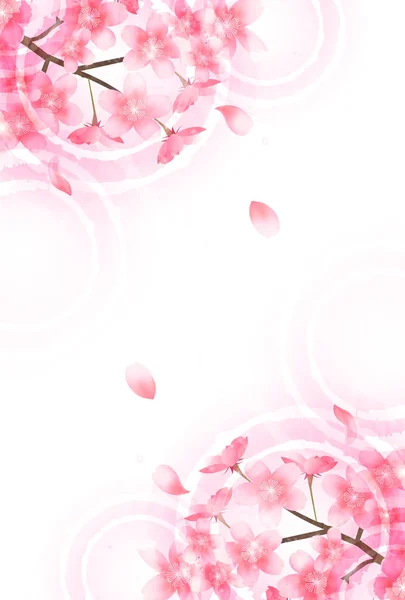 Fondo de flor de primavera de cereza — Vector de stock