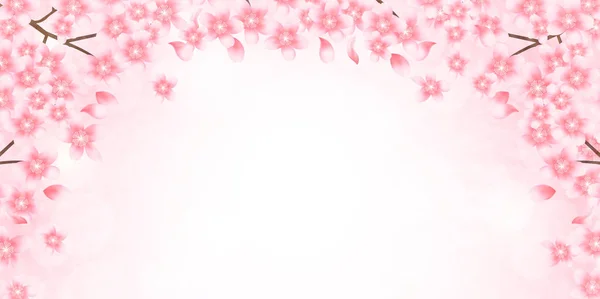 Fondo de flor de primavera de cereza — Archivo Imágenes Vectoriales