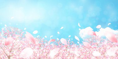 Kiraz bahar çiçek arka plan