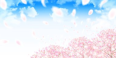 Kiraz bahar çiçek arka plan