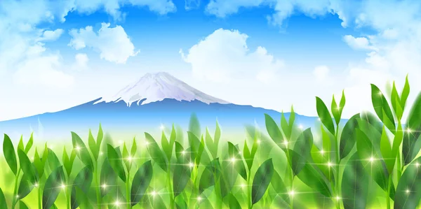 茶绿色山富士背景 — 图库矢量图片