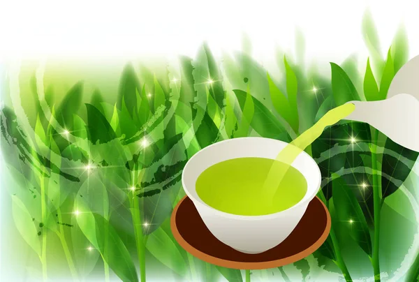 Feuilles de thé vert fond — Image vectorielle