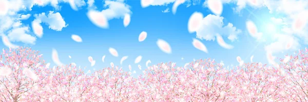 Cherry spring flower background — Stock Vector