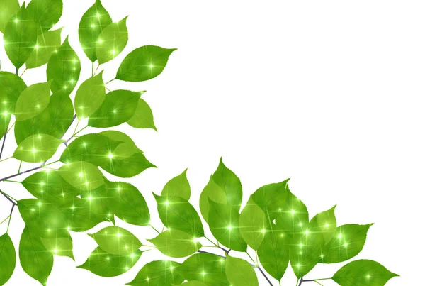 Φρέσκο πράσινο φύλλο, πράσινο φόντο — Διανυσματικό Αρχείο