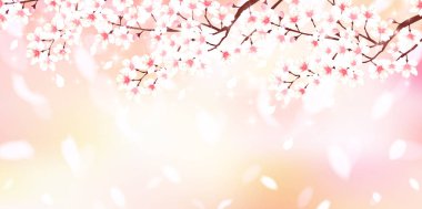 Kiraz bahar çiçek arka plan