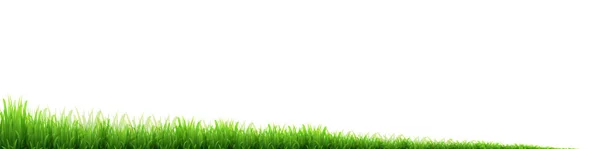 Nowy zielony trawa trawnik tło — Wektor stockowy