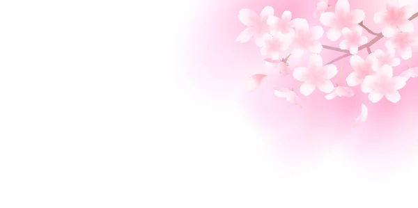 Fondo de flor de primavera de cereza — Vector de stock
