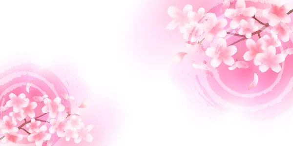 Kirsche Frühling Blume Hintergrund — Stockvektor