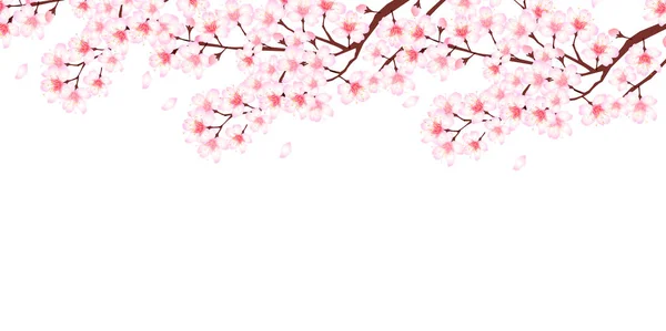 Вишневий квітка весни фону — стоковий вектор