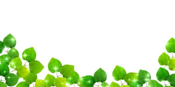 Verse groene blad groene achtergrond — Stockvector