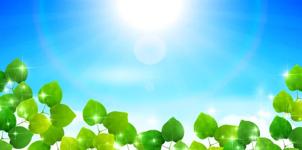 Folha verde fresca fundo verde — Vetor de Stock