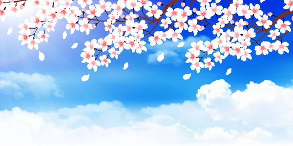 桜の花春の背景 — ストックベクタ