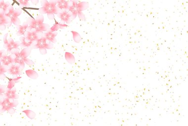 Kiraz bahar çiçek arka plan