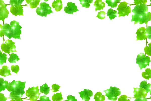 绿色的新鲜绿色叶帧 — 图库矢量图片