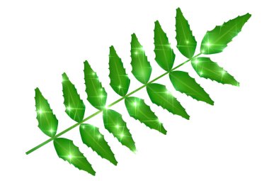 Taze yeşil ağaç yaprağı simgesi