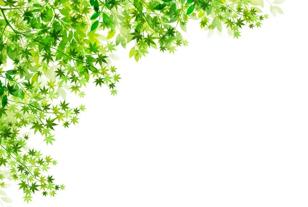 Fresh green leaf green background — Stock Vector