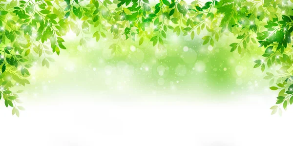 Folha verde fresca fundo verde —  Vetores de Stock