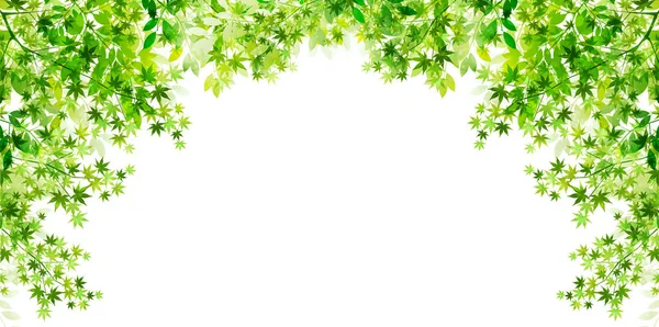 Folha verde fresca fundo verde — Vetor de Stock