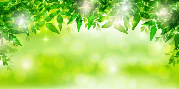 New green leaves landscape background