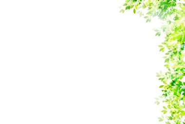 Taze yeşil yaprak yeşil arka plan