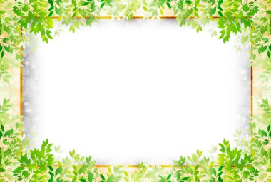 Akçaağaç taze yeşil ağaç arka plan