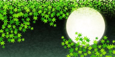 Akçaağaç taze yeşil manzara arka plan